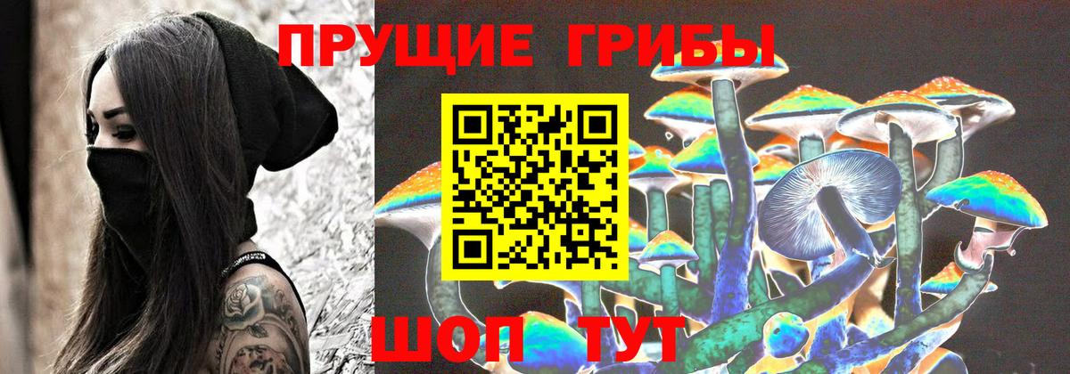 Псилоцибиновые грибы ЛСД  Псилоцибиновые грибы Psilocybine cubensis  Вход с VPN  Гусев 